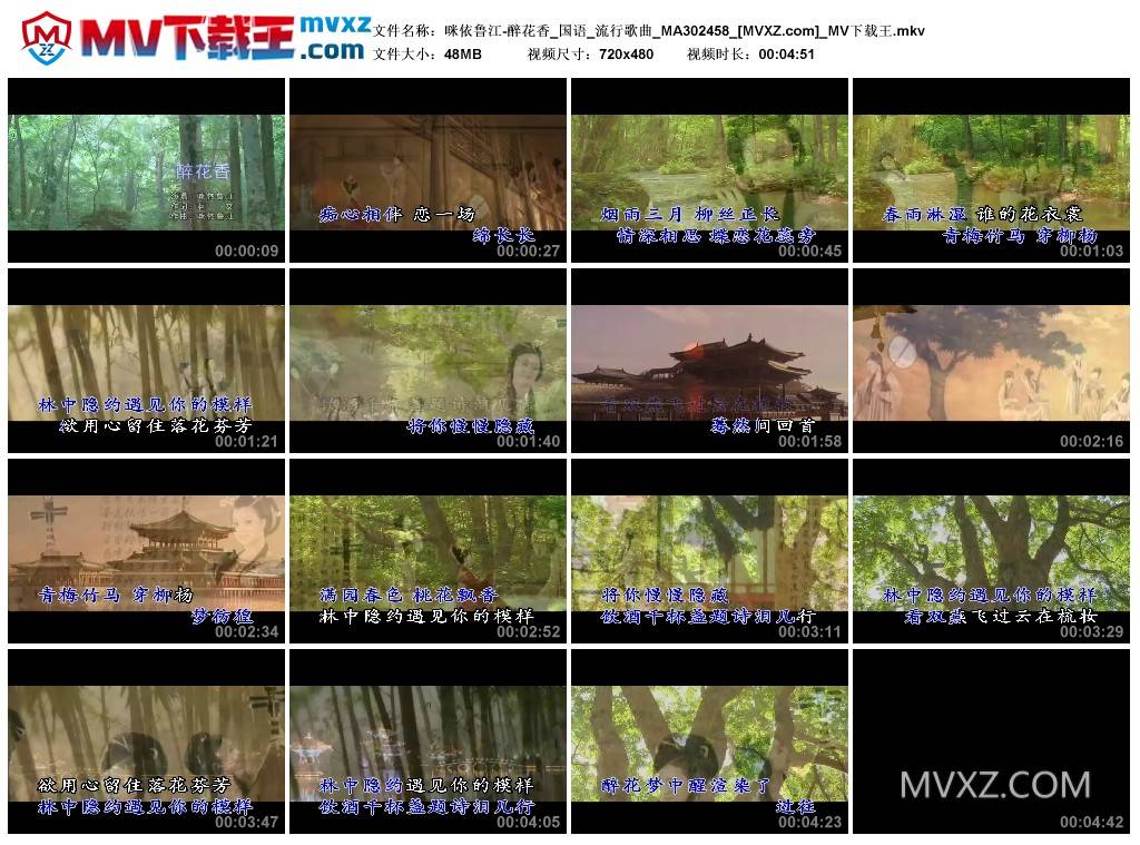 咪依鲁江-醉花香_国语_流行歌曲_MA302458